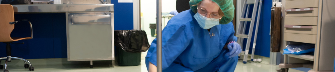 In a hospital, a janitor wearing a hairnet, face mask and blue scrubs, cleans the bottom of a portable intravenous medication stand.