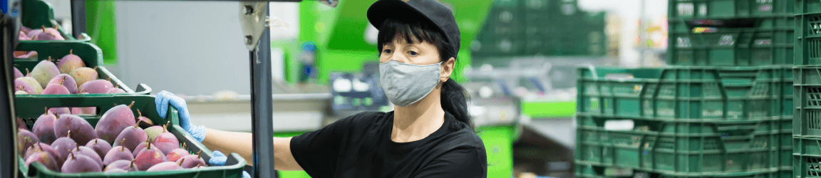 A woman wearing a face mask and baseball cap guides a basket of fruit down a conveyor belt.