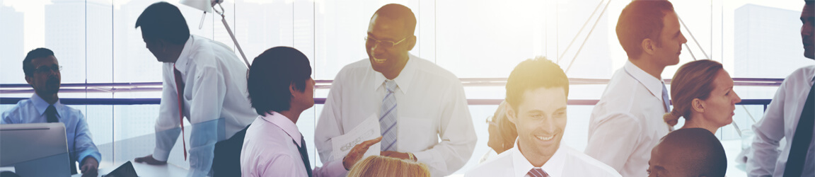 Business professionals networking